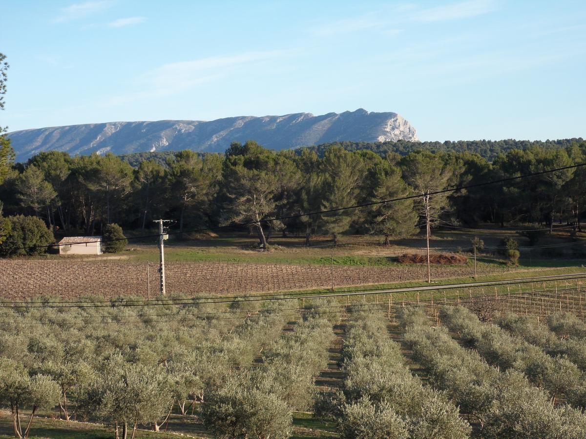 Domaine De L'Olibaou Bed & Breakfast Venelles Exterior photo