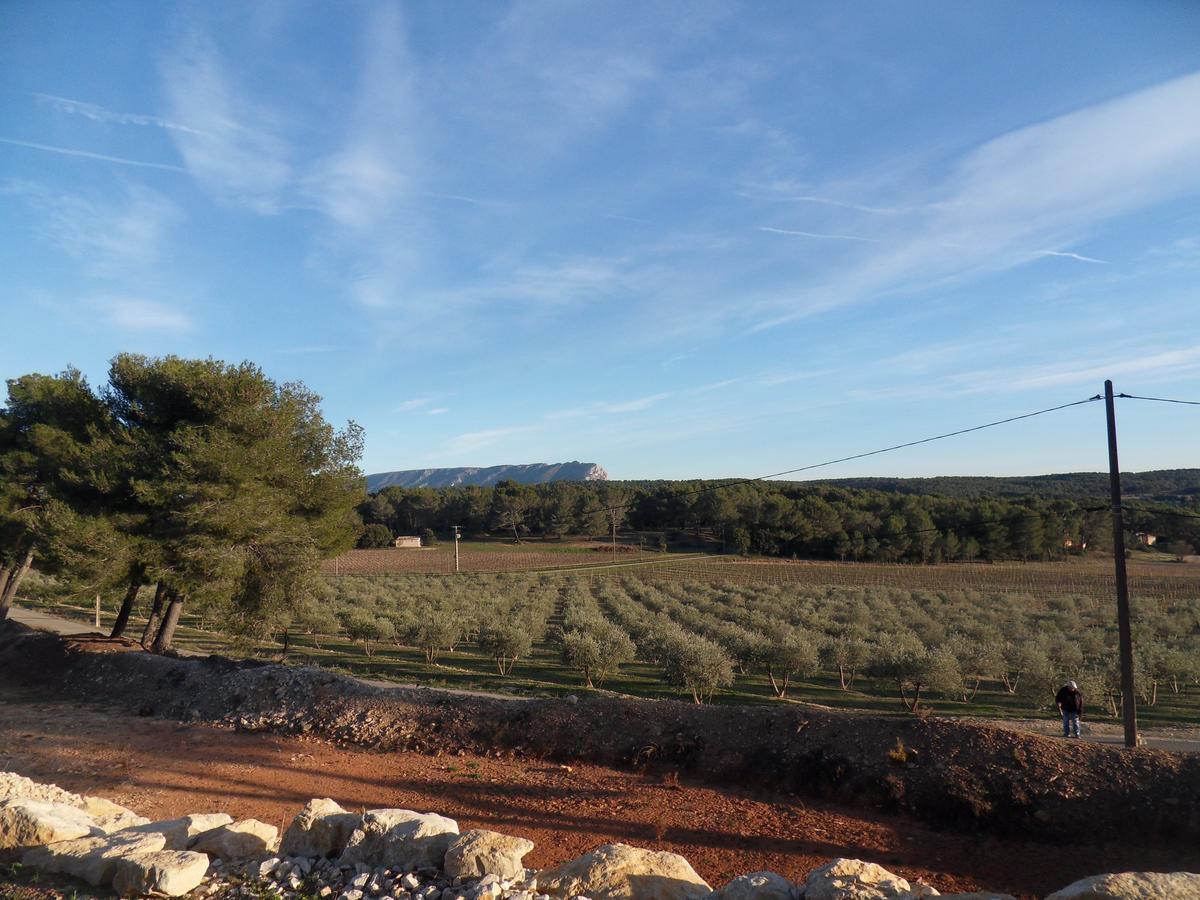 Domaine De L'Olibaou Bed & Breakfast Venelles Exterior photo