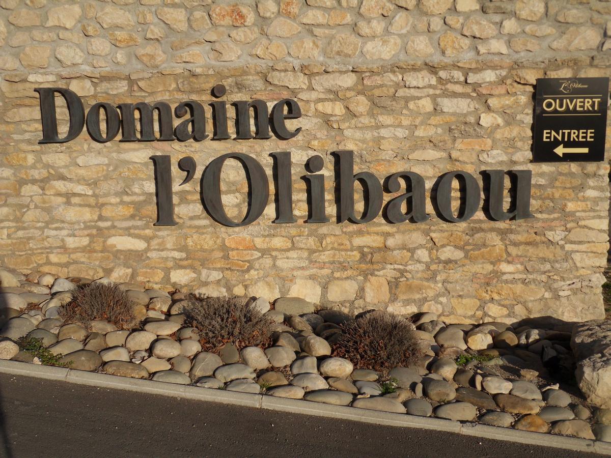 Domaine De L'Olibaou Bed & Breakfast Venelles Exterior photo